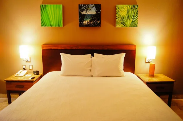جناح جونيور بسرير كينج بإطلالة على البحر بشرفة، Hilton Garden Inn Boca Del Rio Veracruz 9/10