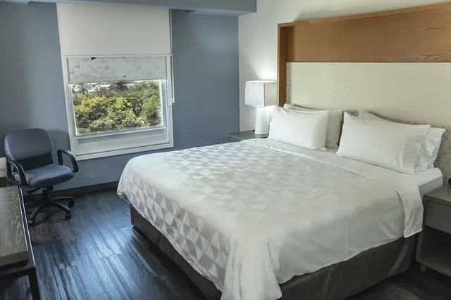 Standard, Single Bed, Holiday Inn Uruapan 4/10