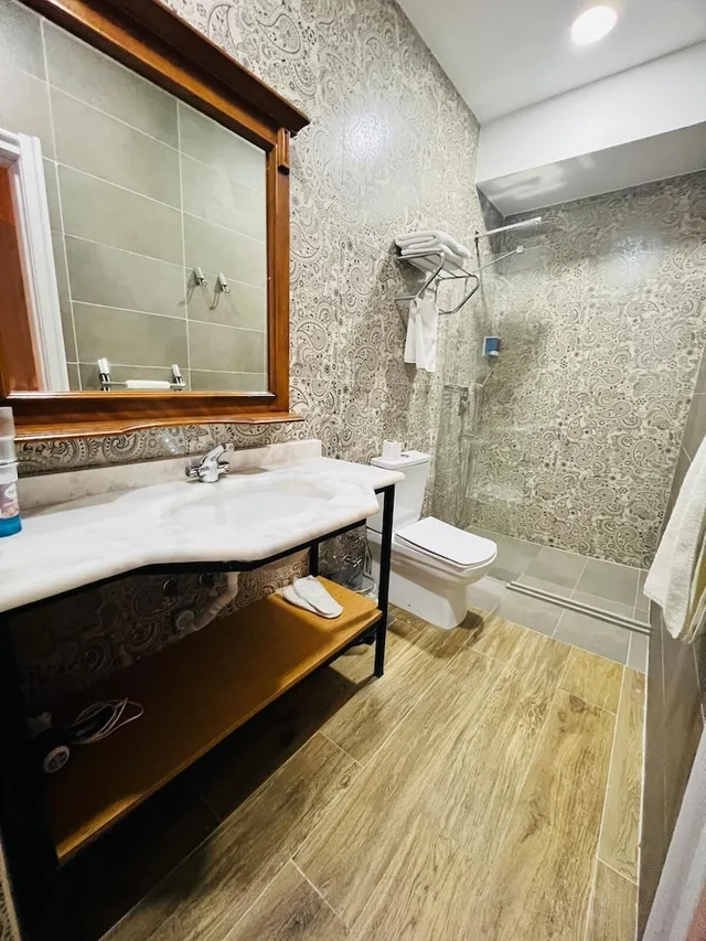 غرفة كلاسيكية بسرير كوين، Aria Palace Taksim 6/7