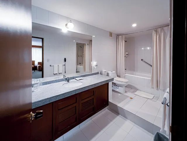 غرفة تنفيذية بسرير مزدوج، Torre de Cali Plaza Hotel 7/7