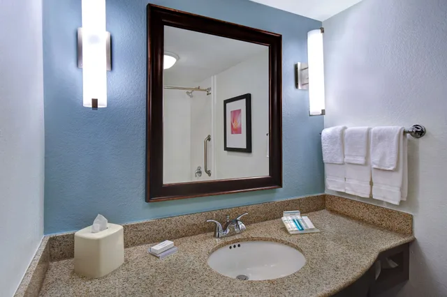 1 Bedroom, Mini, Suite, King Bed, Sofa، Hilton Garden Inn Ft Myers 3/8