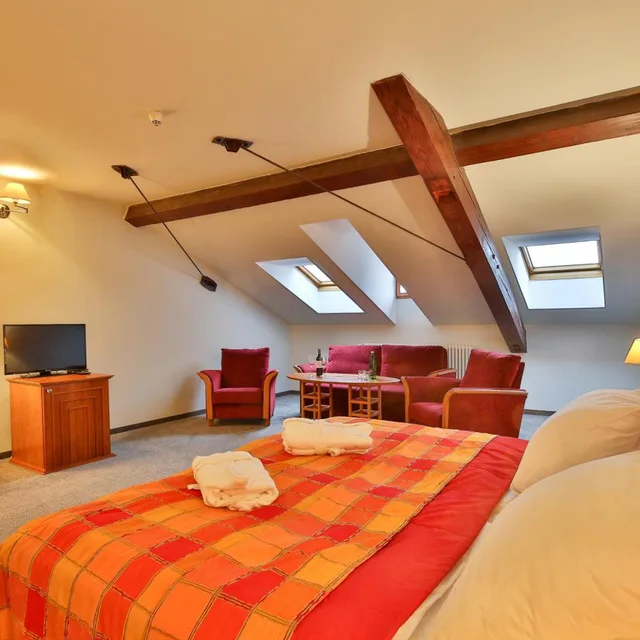 جناح جونيور بسرير فردي، Hotel Dvorak Tabor 5/10