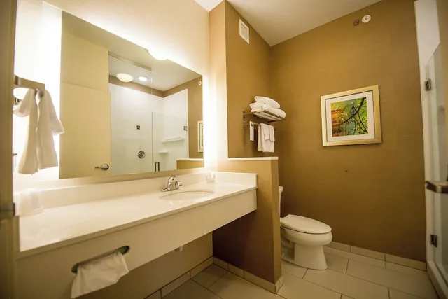Room, King Bed, Sofa, Accessible, Fairfield Inn Suites Cambridge 4/4