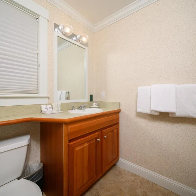 1 Bedroom, House، Stoweflake Mountain Resort Spa 10/10