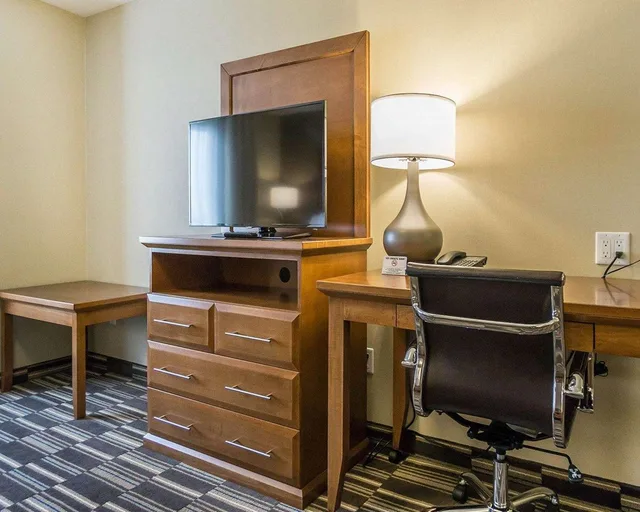 جناح بسرير كينج، Comfort Inn & Suites Edmonton International Airport 3/3