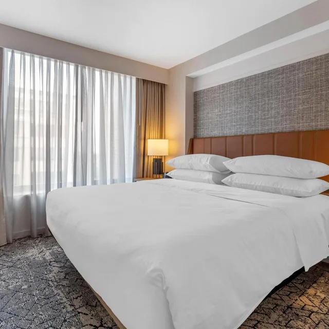 جناح استوديو بسرير كينج مع أريكة، Sheraton Suites Old Town Alexandria 1/11