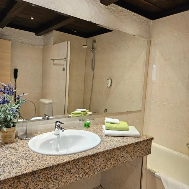 غرفة كومفورت مفردة، CONTEL HOTEL KOBLENZ 1/2