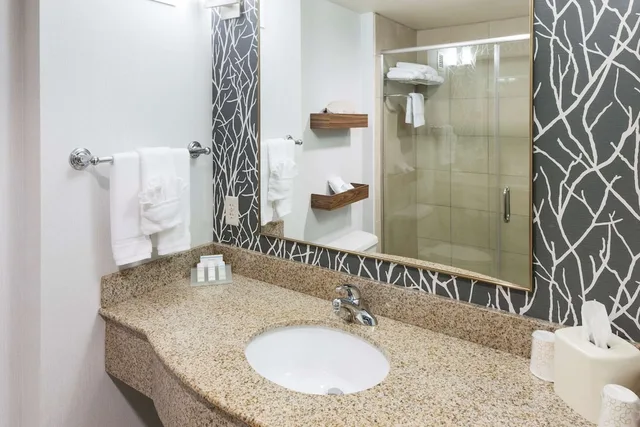 Evolution, King Bed، Hilton Garden Inn Austin North 6/8