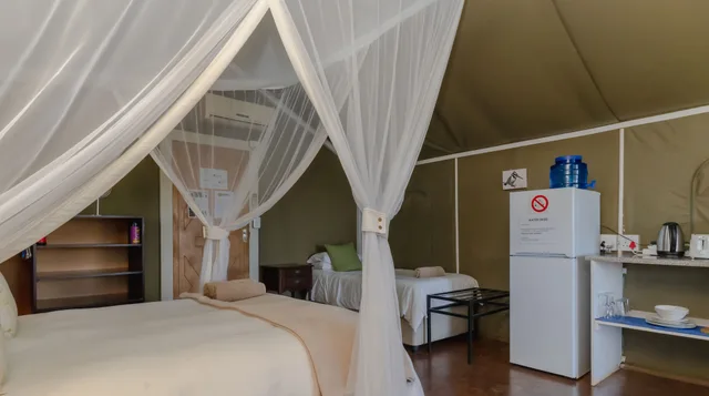 Safari, Tent, Queen Bed, Large، Crocodile Bridge Safari Lodge 3/5
