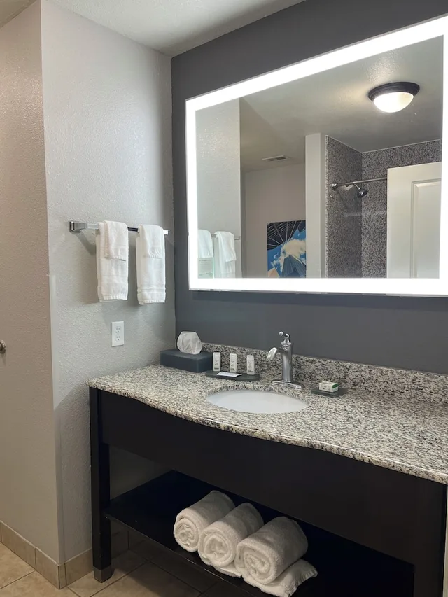جناح ديلوكس بسرير كينج لذوي الإعاقة، La Quinta Inn & Suites by Wyndham Houston Energy Corridor 3/3