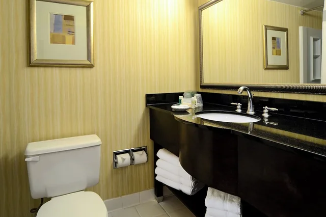 غرفة قياسية بسرير كينج، Holiday Inn Washington D C Greenbelt Md 3/3