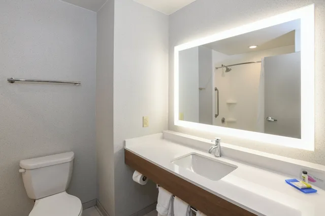 1 Bedroom, Suite, King Bed, Living Area, Holiday Inn Express Hotel Suites Richwood Cincinnati South 6/8