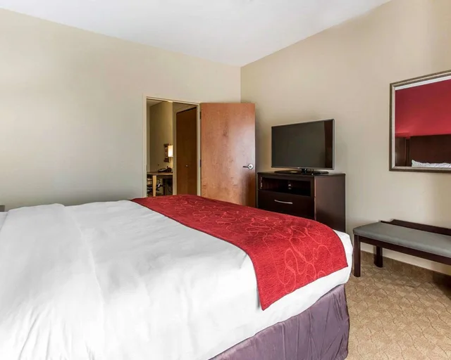 جناح بسرير كينج مع أريكة، Comfort Suites Stockbridge Atlanta South 1/6