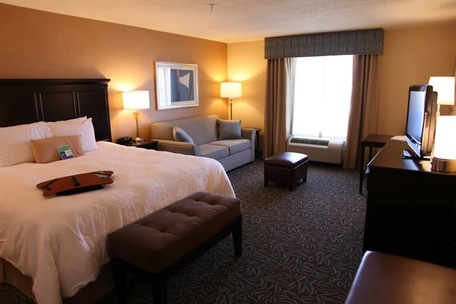 غرفة بسرير كينج مع أريكة لذوي الإعاقة، Hampton Inn And Suites Carlsbad Nm 1/1