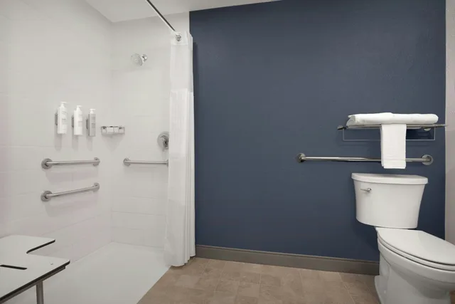 غرفة بسرير كينج لذوي الإعاقة، Spark by Hilton Denver Tech Center Greenwood Village 7/9