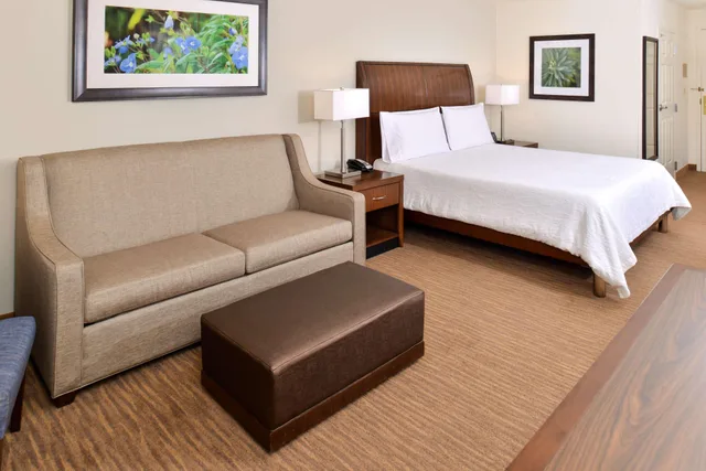 غرفة ديلوكس بسرير كينج مع أريكة بحوض جاكوزي، Hilton Garden Inn Dallas/Addison 2/3