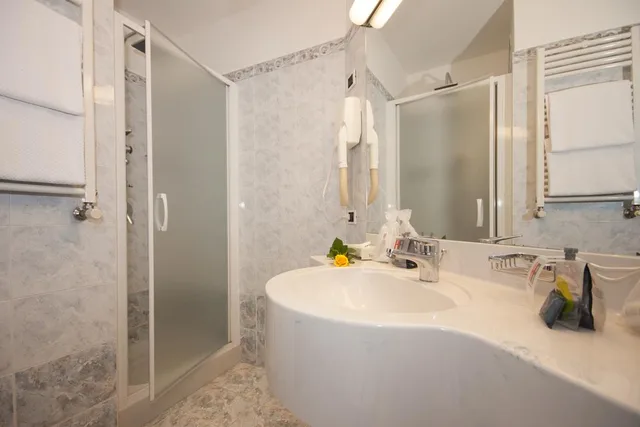 غرفة قياسية بسريرين منفصلين، Ih Hotels Milano Ambasciatori 9/10