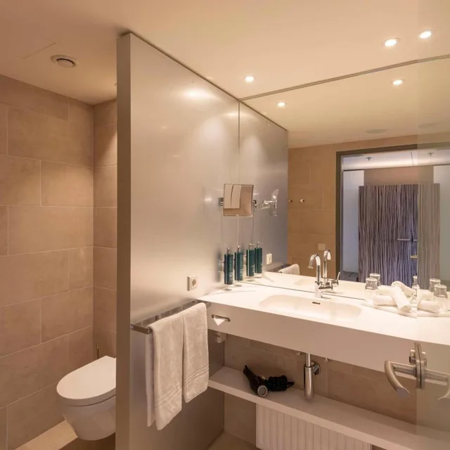 غرفة بسرير كينج، Doubletree by Hilton Vienna Schonbrunn 12/13