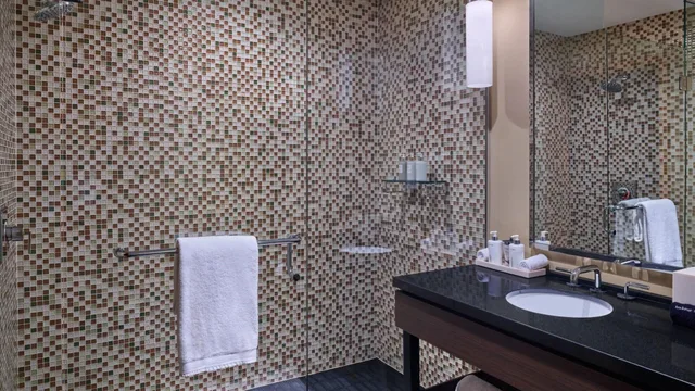 1 Bedroom, Pinnacle, Plus, Residence, Den، Viceroy Snowmass 3/4