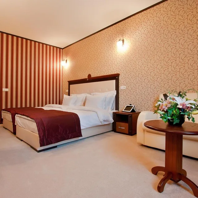 غرفة سوبيريور بسرير فردي، Best Western Plus Bristol Hotel 4/8