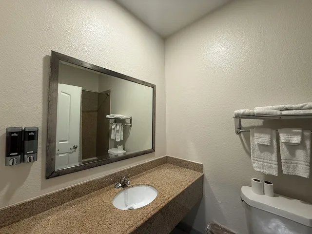 غرفة أساسية مفردة بسرير كينج مع أريكة، Regency Inn & Suites Baytown 6/8