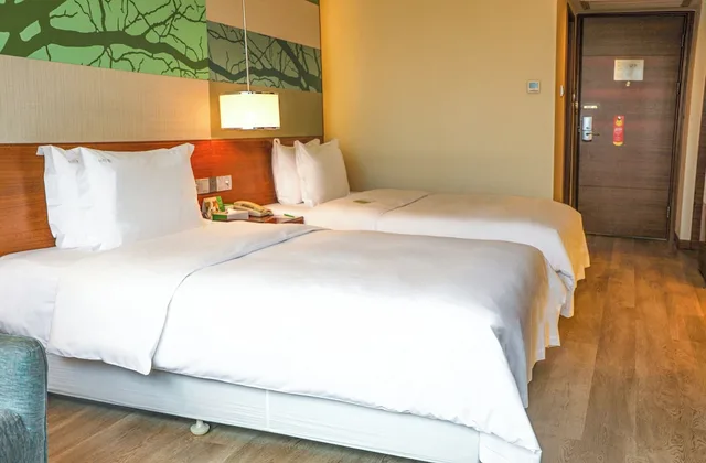 غرفة قياسية بسريرين مزدوجين، Holiday Inn Donghua 2/7
