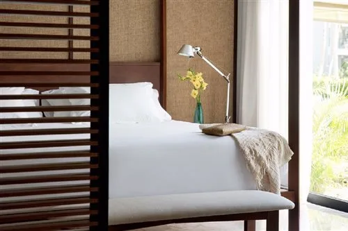 جناح شهر العسل، Excellence el Carmen Adults Only 1/1