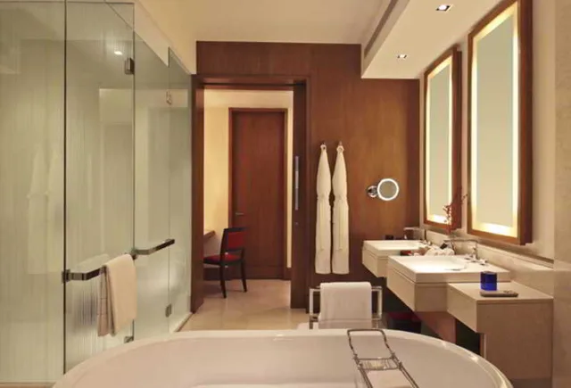 غرفة ديلوكس مفردة، THE OBEROI GURGAON 1/1