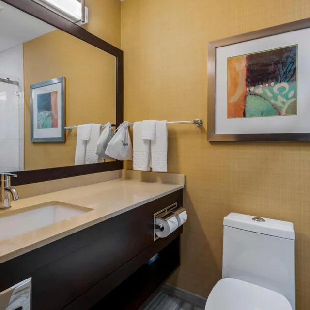 غرفة ديلوكس بسرير كينج مع أريكة، Best Western Plus Chateau Fort St. John 5/6