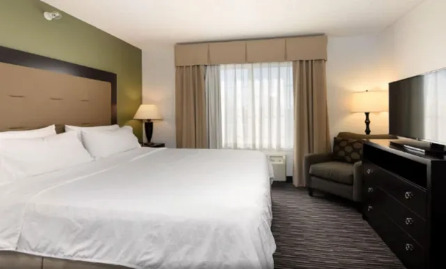 جناح بسرير كينج بغرفة نوم واحدة، Holiday Inn Express Hotel And Suites Chicago Deerfield Lincoln 1/3