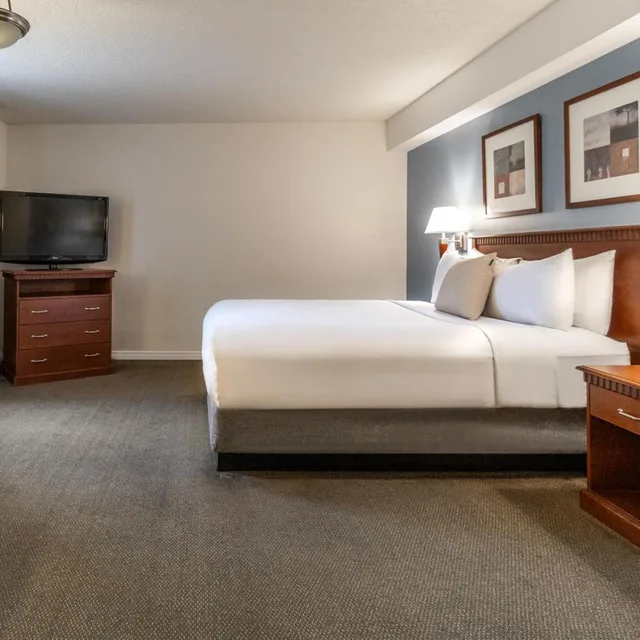 استوديو بسرير كينج وسرير كوين، Hotel Saint Laurent Montreal 3/10