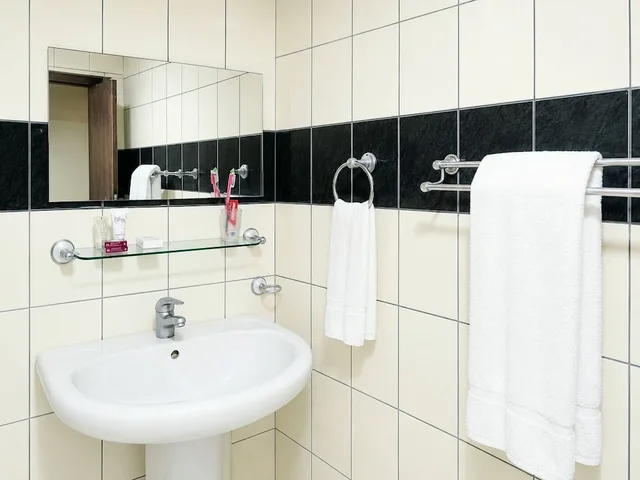 غرفة ديلوكس مفردة بسرير كوين، New Dodoma Hotel 6/7