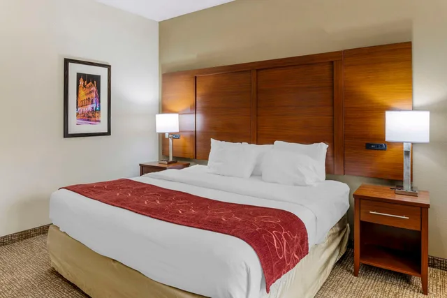 جناح، Comfort Suites At Virginia Center Commons 1/6
