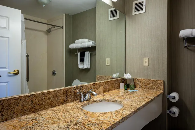 استوديو بسرير كينج، D. Hotel and Suites 6/7