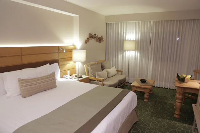 غرفة قياسية بسرير مزدوج، Marriott Tuxtla Gutierrez Hotel 1/3