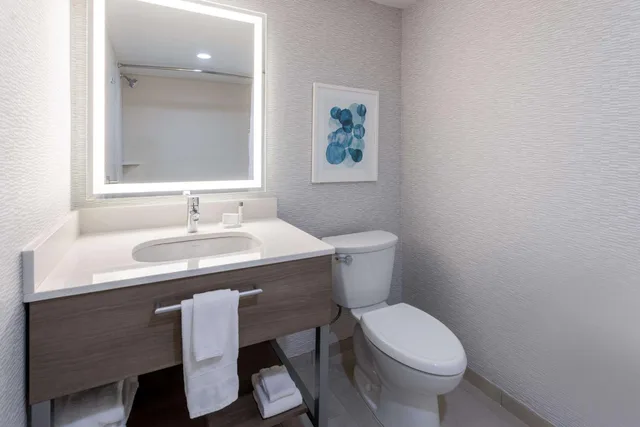 جناح بسرير كوين مع أريكة لذوي الإعاقة، Hampton Inn & Suites Venice Bayside South Sarasota 6/9