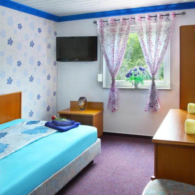 غرفة مفردة، Hotel im Rheintal 1/2