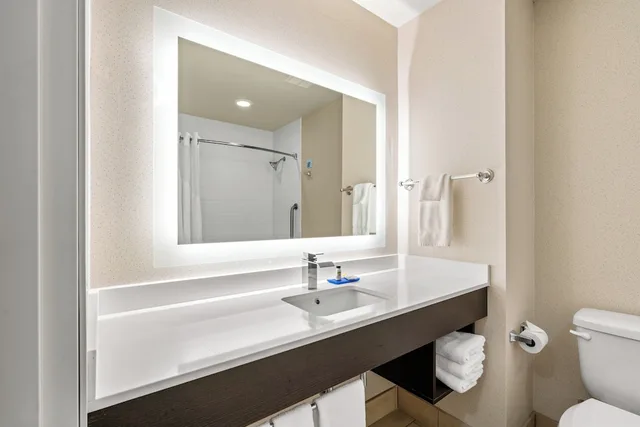 غرفة قياسية بسرير كينج لذوي الإعاقة، Holiday Inn Express Suites Klamath Falls Central 3/4