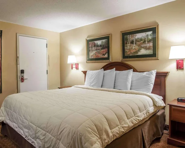 غرفة بسرير كوين، Econo Lodge Newton, NJ 2/2