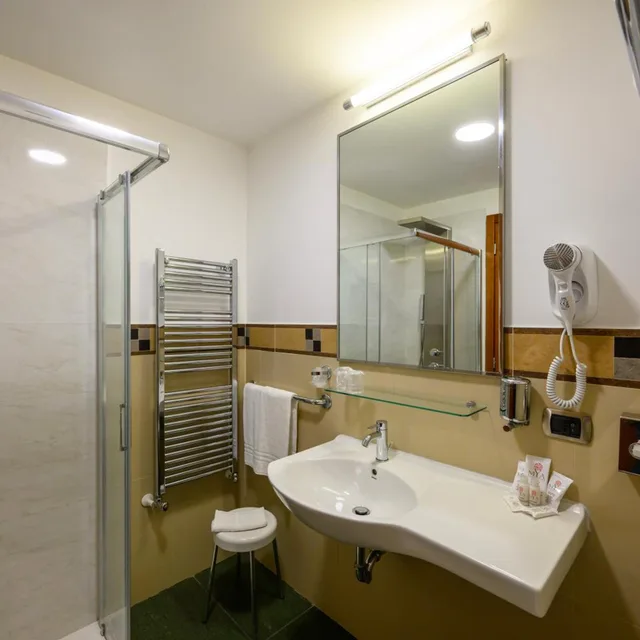غرفة سوبيريور مفردة بسرير مزدوج، Hotel Dei Principati 7/8