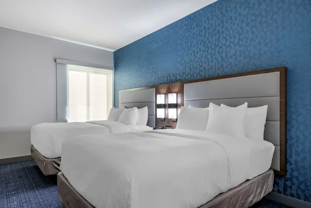 جناح تنفيذي بسرير كينج، Comfort Suites Gainesville Near University 1/3