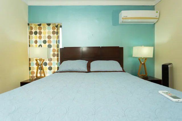 شقة حصرية بسرير كوين بإطلالة على المدينة بغرفة نوم واحدة، New Kingston Guest Apartments At Abbey 2/7