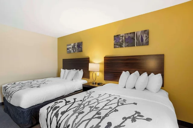 غرفة بسريرين كوين لذوي الإعاقة، Sleep Inn North - Central York 1/2