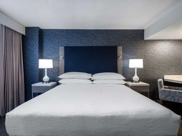 جناح بسرير كينج بغرفة نوم واحدة لذوي الإعاقة، Embassy Suites By Hilton Baltimore Hunt Valley 3/5