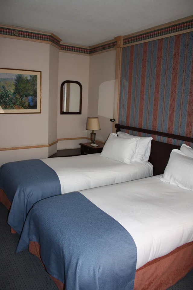 Classic, Twin Beds, Pullman Madrid Airport and Feria Hotel 4/10