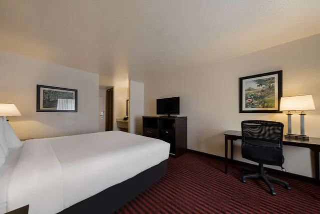 Room, King Bed, Best Western Salinas Valley Inn & Suites 1/3