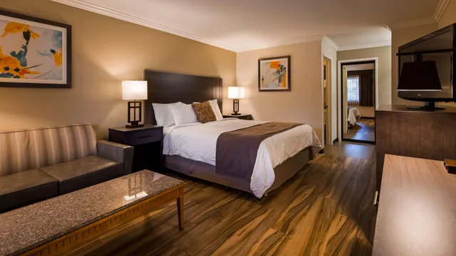 غرفة بسرير كينج، Best Western Plus Orange County Airport North 6/10