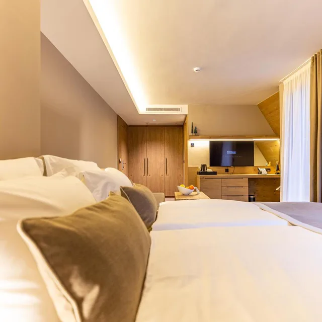 غرفة ثلاثية بإطلالة على الجبل، Hostel Feri 1/8