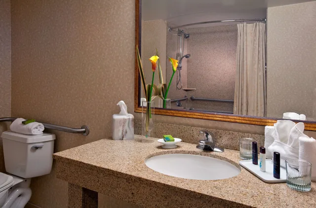 2 Rooms, Governor, Suite, King Bed, Corner, Accessible، Embassy Suites by Hilton Sacramento Riverfront Promenade 6/9