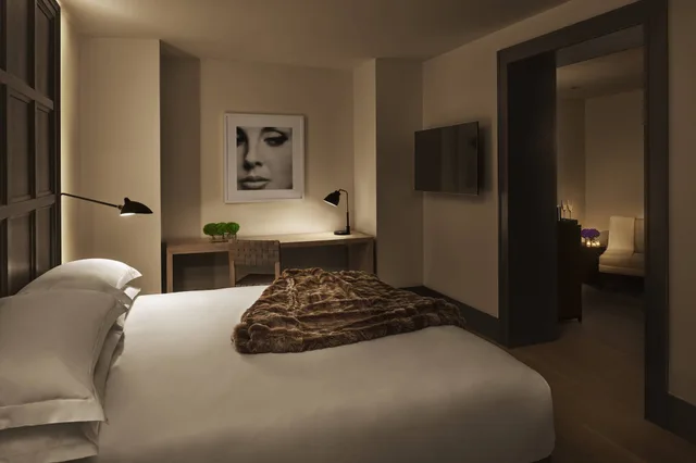 Deluxe, King Bed, with View, The New York EDITION 2/4